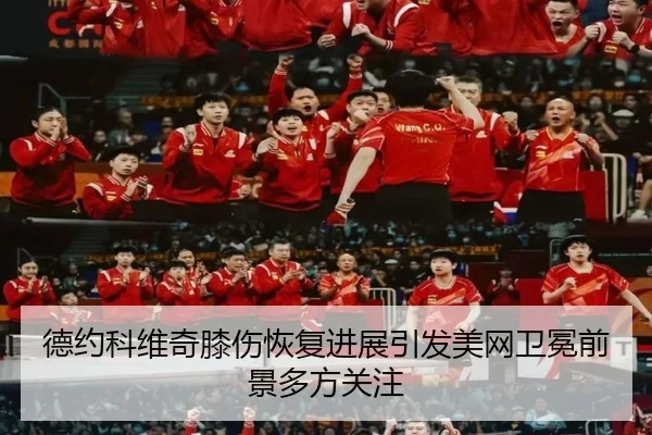 德约科维奇膝伤恢复进展引发美网卫冕前景多方关注